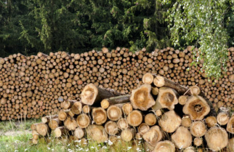Stückholz- Holzvergaser Heizung Holz